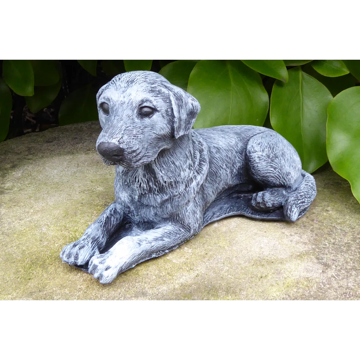Handcrafted Dalmatian Labrador Dog Cast Stone Garden Ornament Garden Statue 19cm