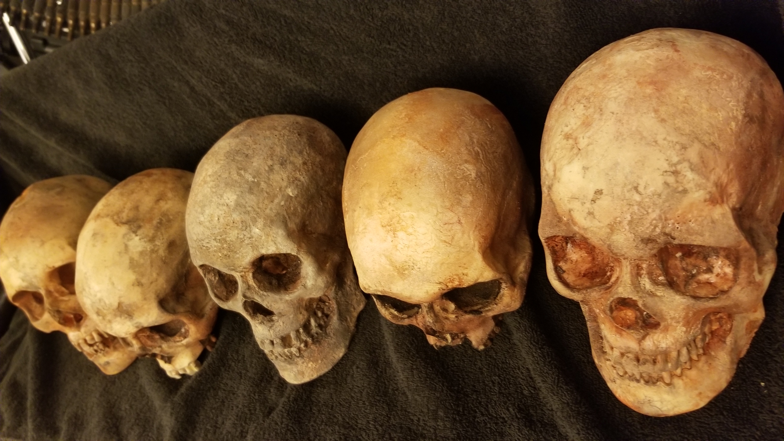 Lot of 5 skulls