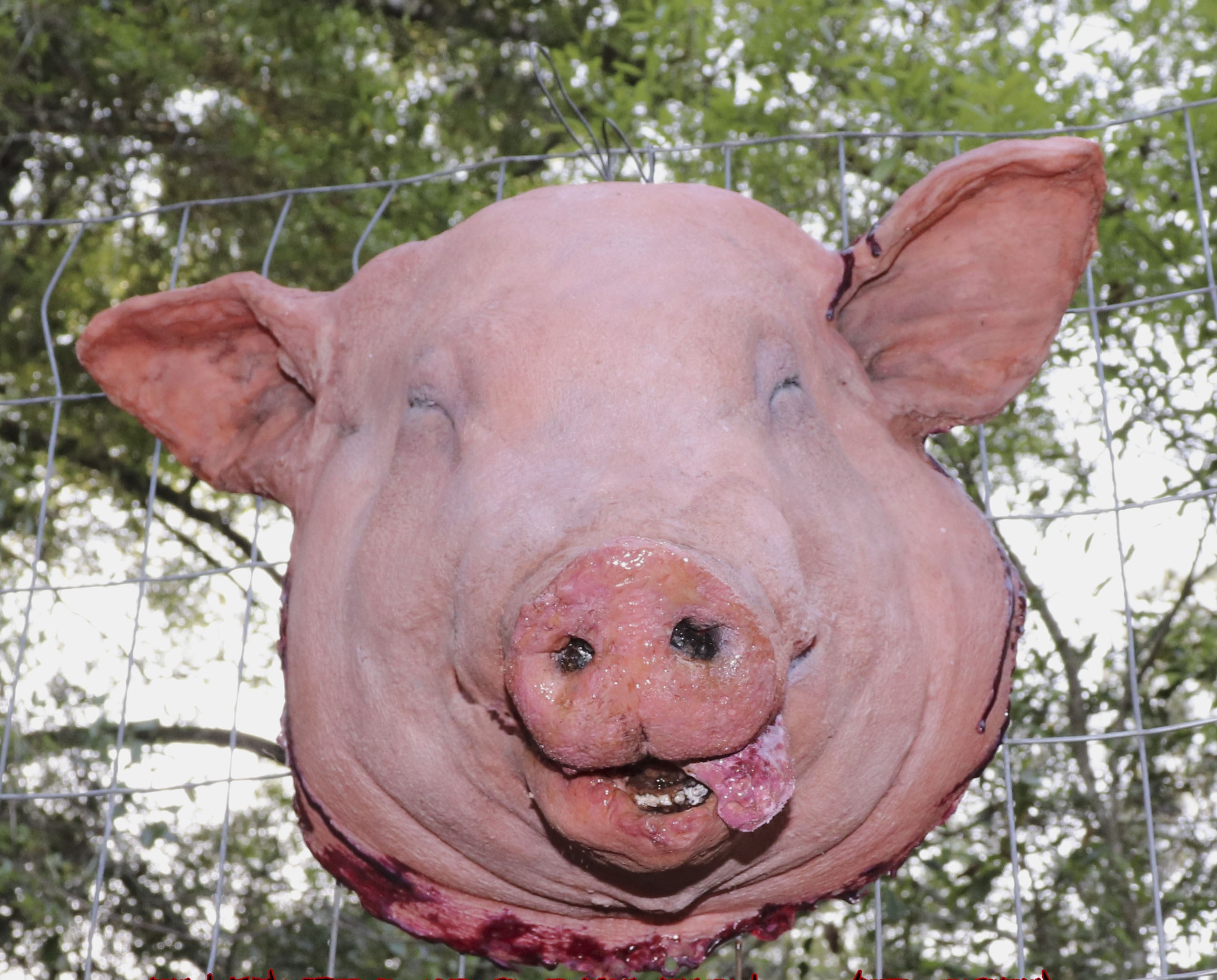 Pig head full size latex prop