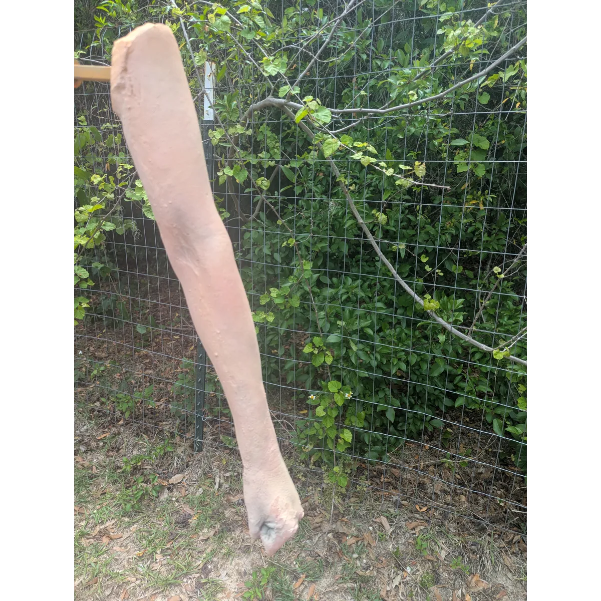 Female full arms single or pair