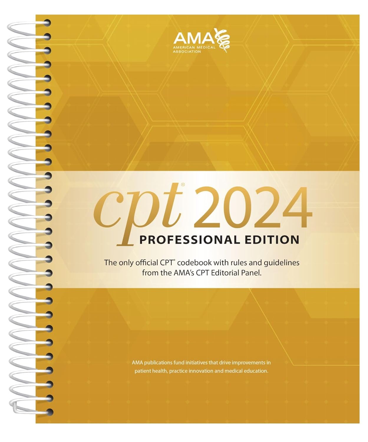 Professional 2024