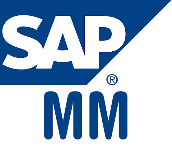 SAP MM Course