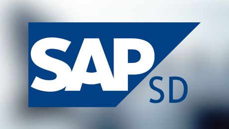 SAP SD Course