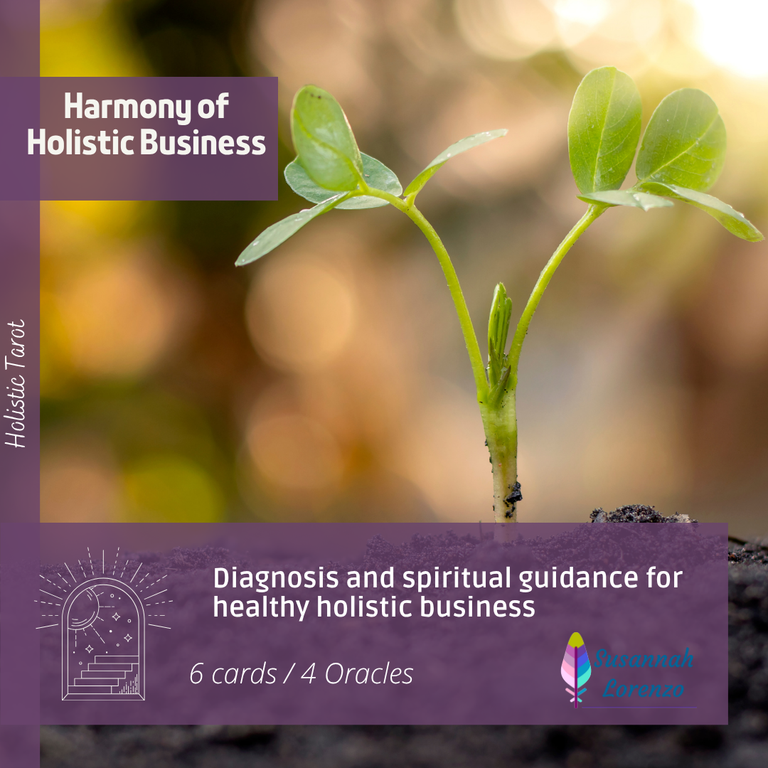 Harmony of Holistic Business