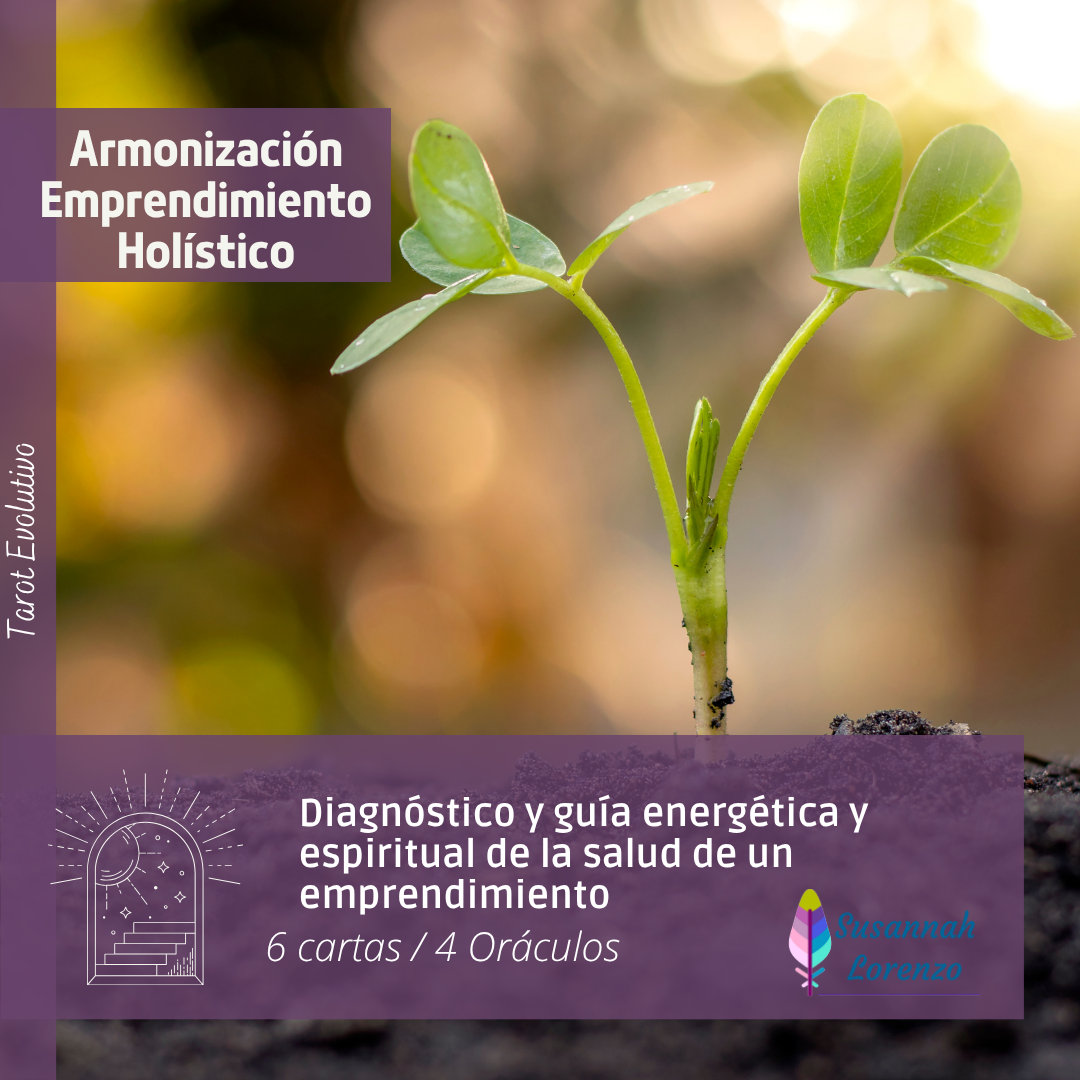 Armonización de emprendimiento