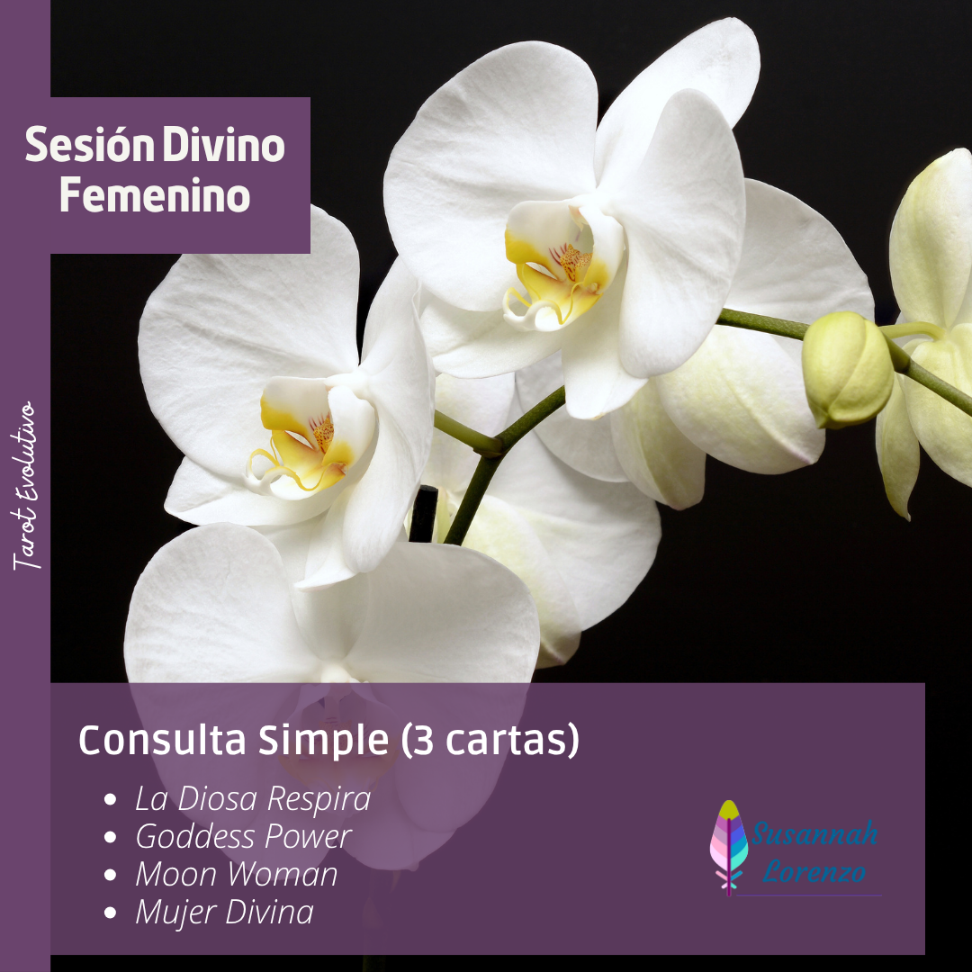 Simple Divino Femenino