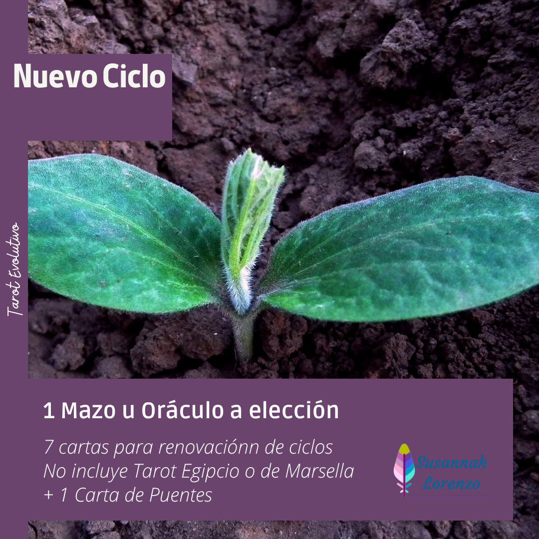 Nuevo Ciclo