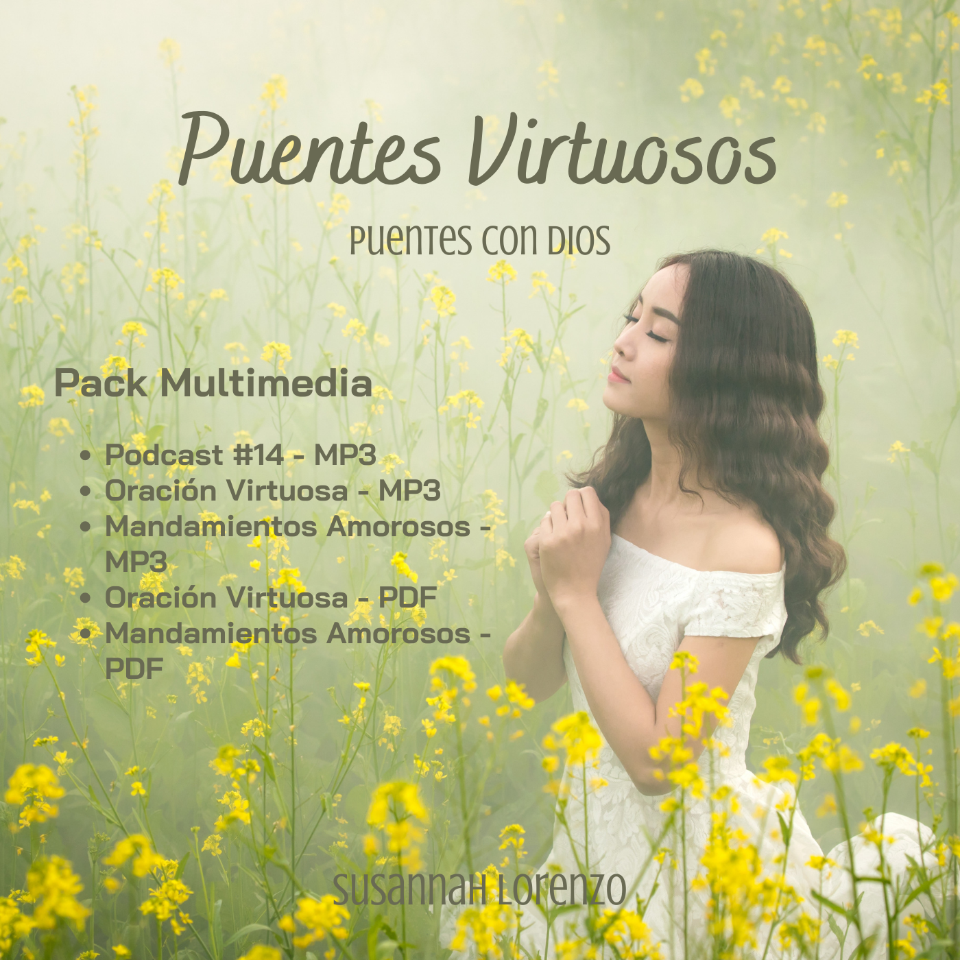 Puentes Virtuosos - Pack Multimedia