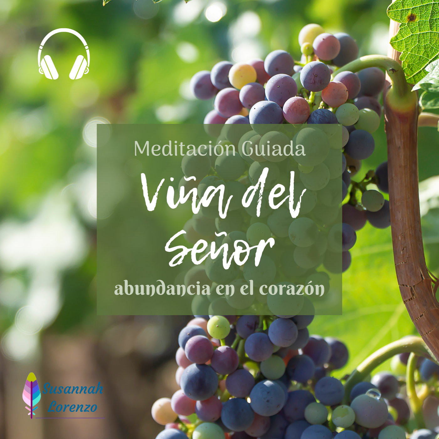 Viña del Señor - Meditación Guiada