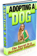 ADOPTING A DOG EBOOK