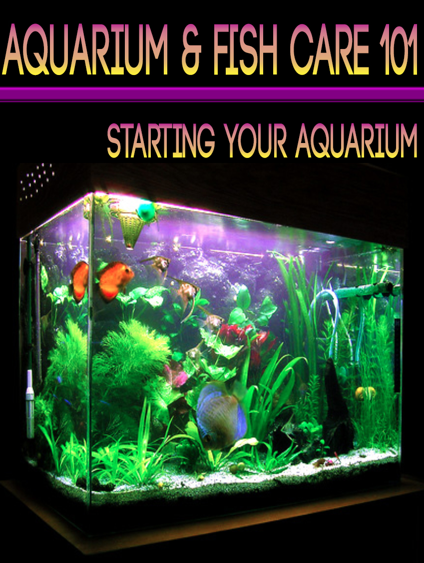 AQUARIUM AND FISH CARE 101 EBOOK