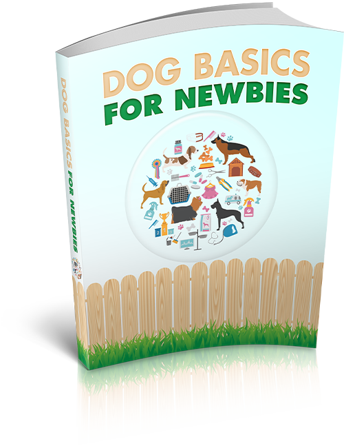 DOG BASICS FOR NEWBIES EBOOK