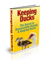 KEEPING DUCKS EBOOK