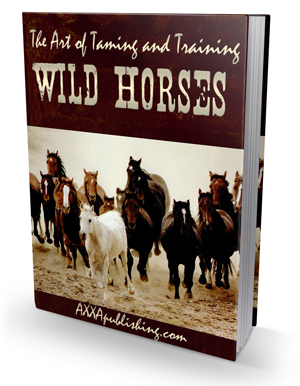 THE ART OF TAIMING AND TRAINING WILD HORSES EBOOK
