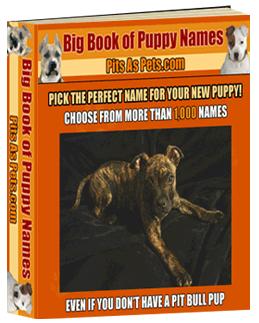 THE BIG BOOK OF PUPPY NAMES EBOOK