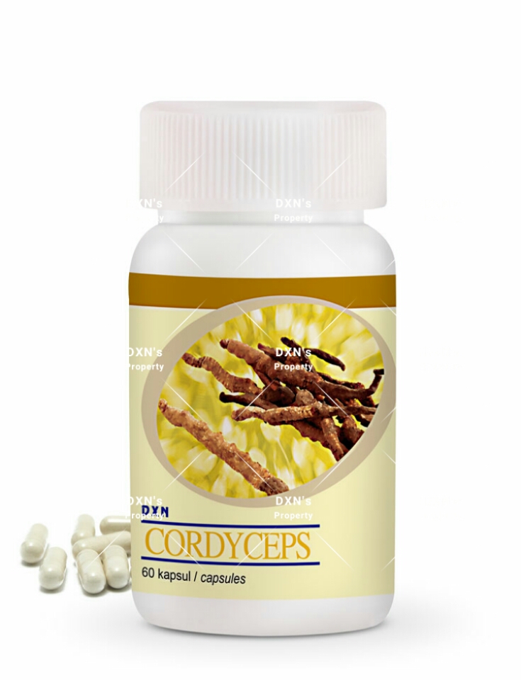 CORDYCEPS DXN