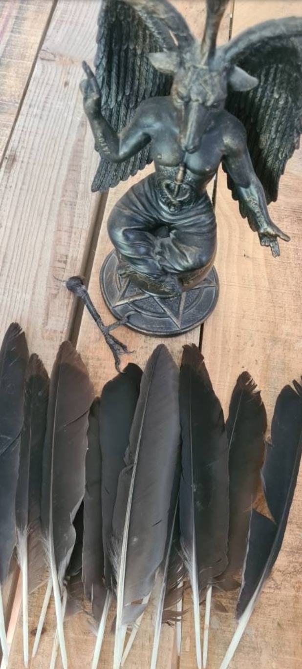 Crow feathers Pack of 5