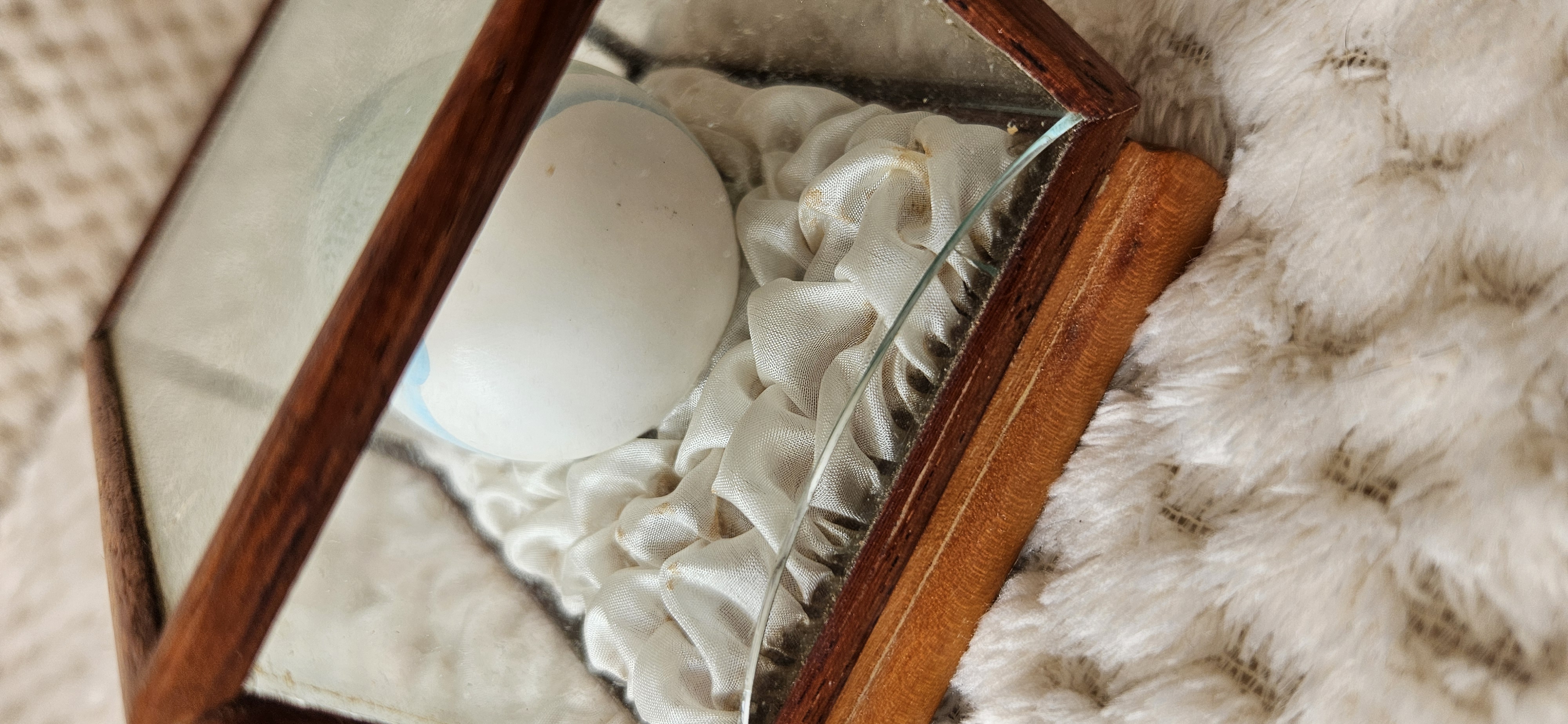 Japanese painted egg in case