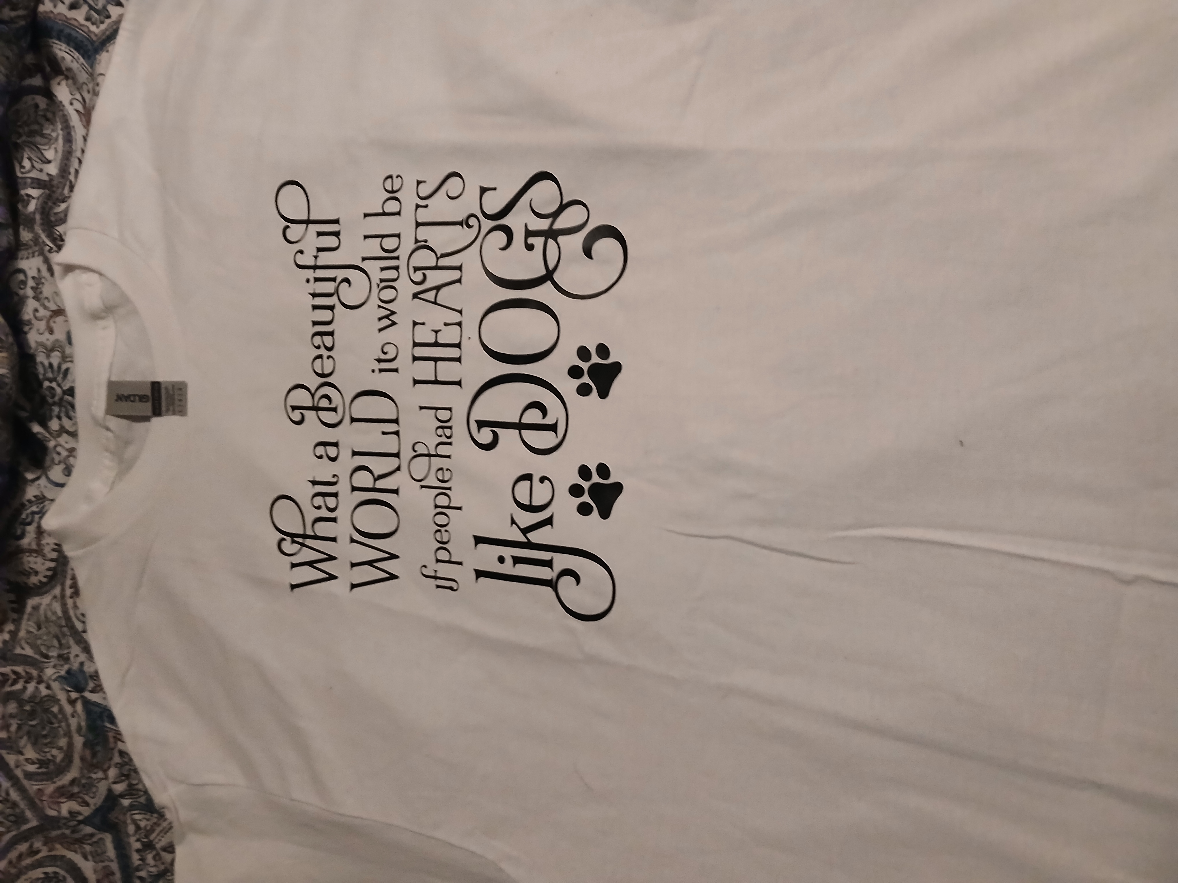 Pet Shirt