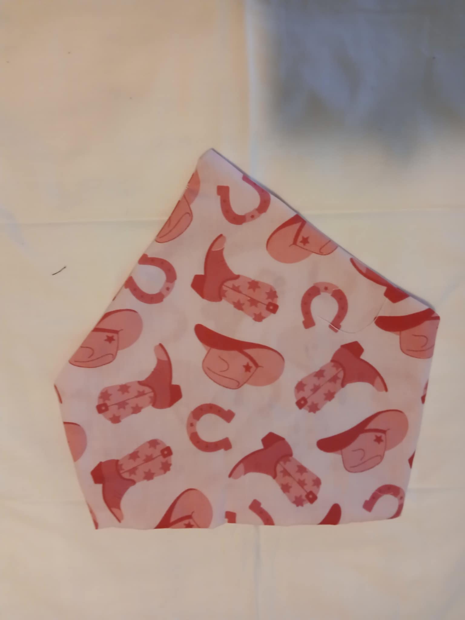 Cowgirl Dog Bandana