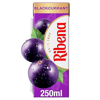 Ribena Blackcurrant Juice Drink Carton 250ml