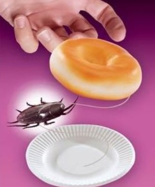 Bagel and Cockroach Surprise Bagel and Cockroach Surprise