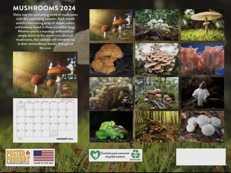Mushroom 2024 Calendar