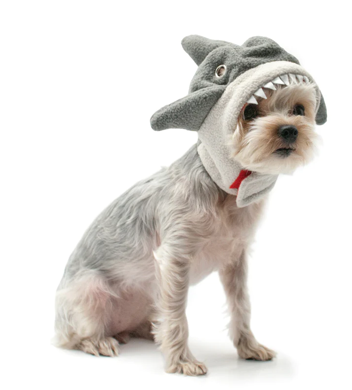 Shark Hat Shark Hat