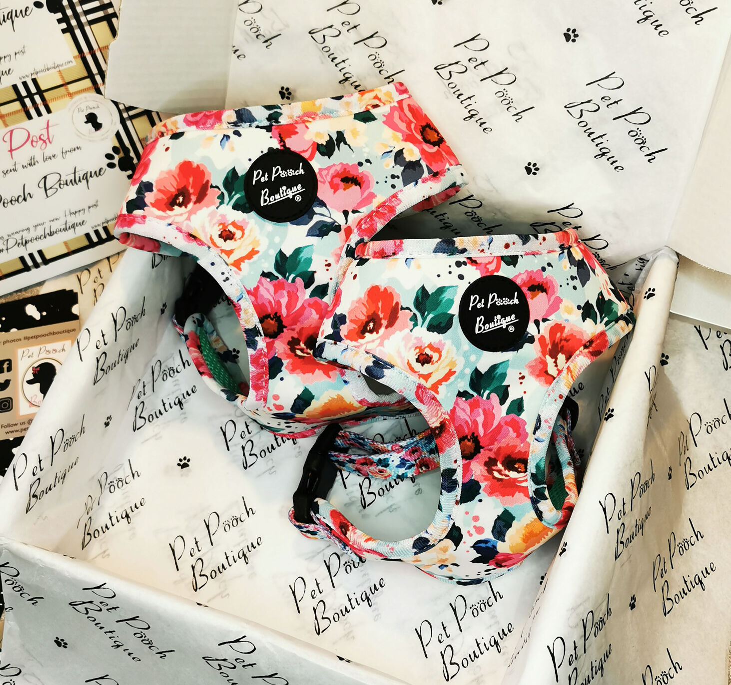 floral dog harness