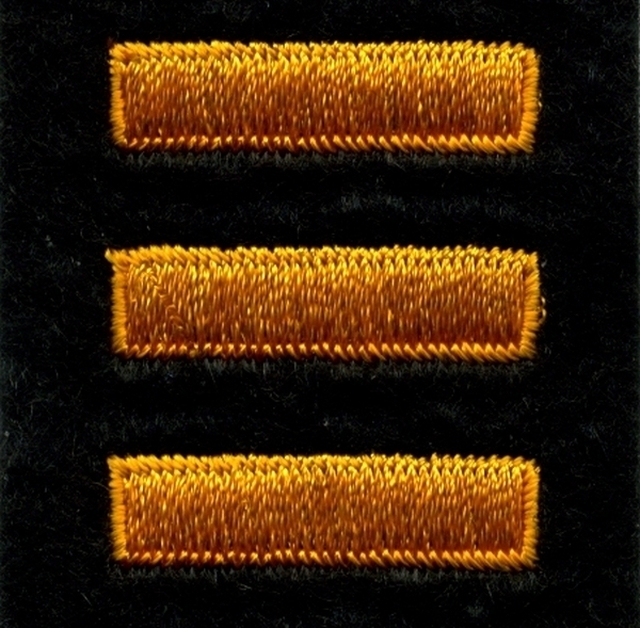 Service Bars Years of Service Felt Sleeve Summer Gold on Black