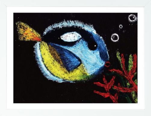 Blue Tang | Oil Pastel on paper