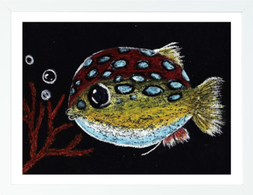 Pufferfish | Oil Pastel on paper