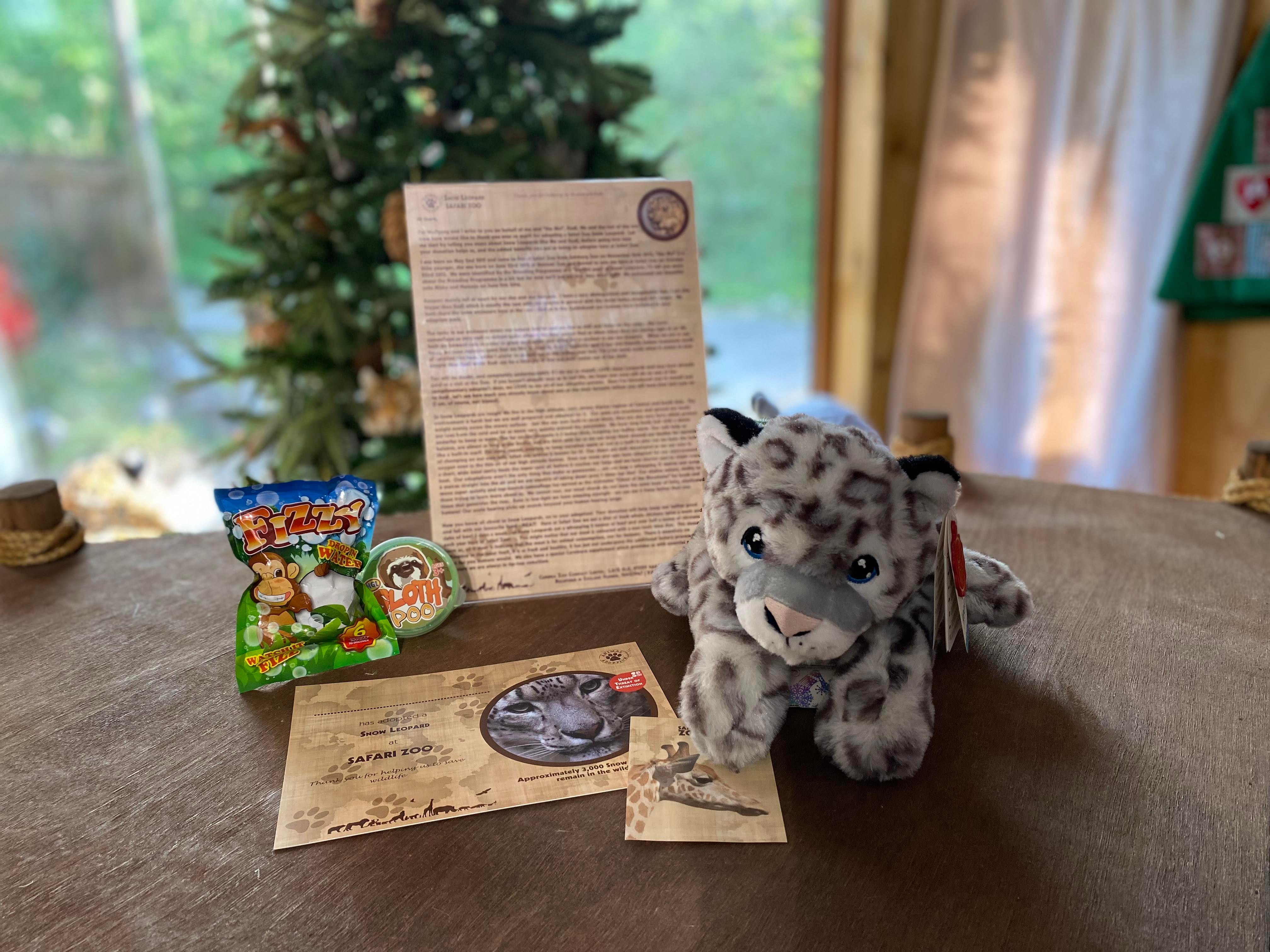 How To Get Adopted For Christmas 2022 Child Animal Adoption 2022