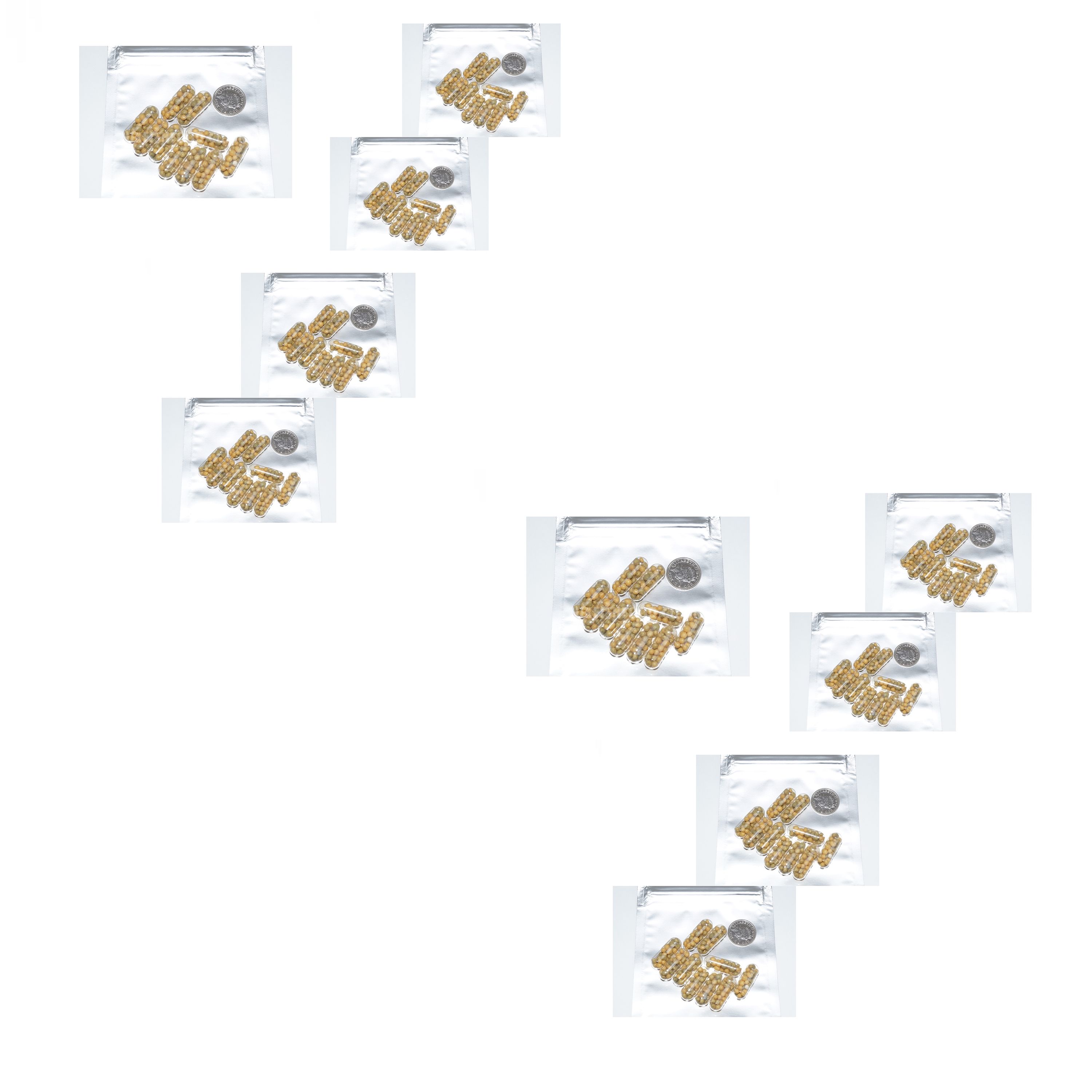 X100 Aquatic 12 Month Pond Plant & Aquarium Food Fertilizer Capsules