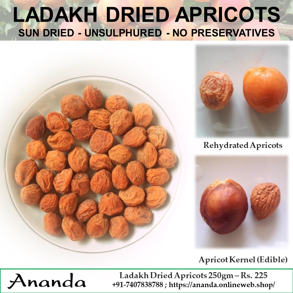 Organic Ladakh dried Apricots 250gm
