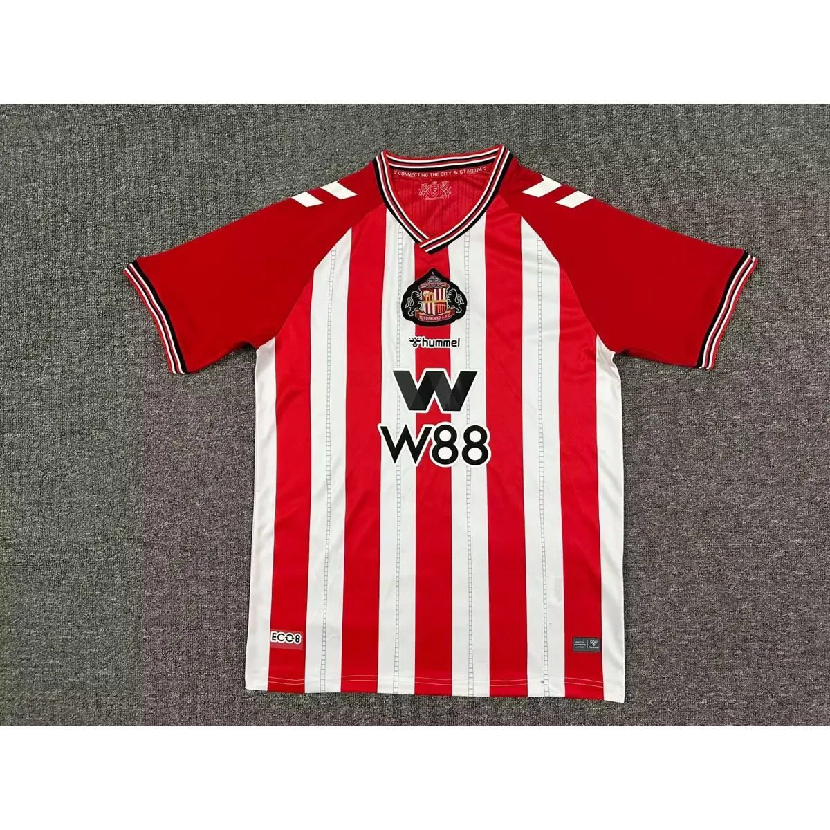Sunderland home adults