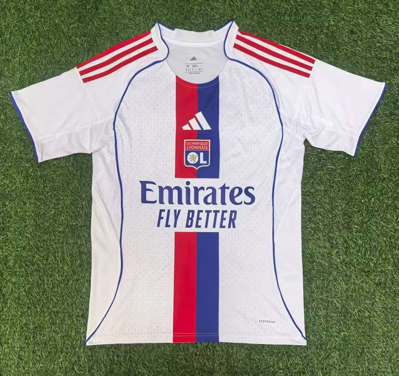 Lyon home