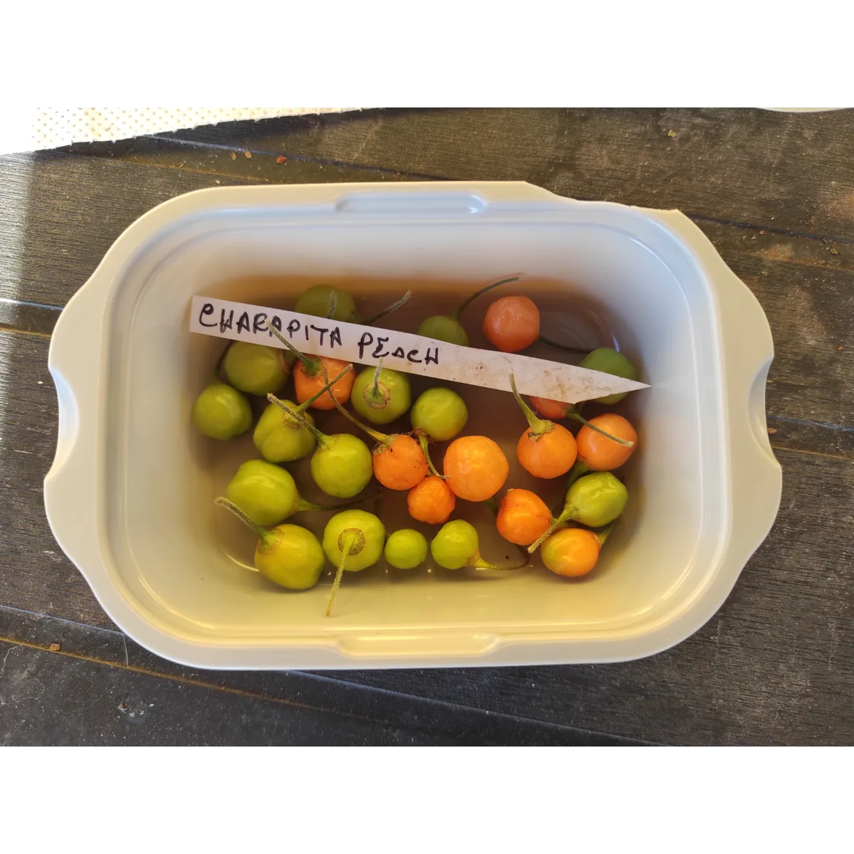 10+ Semi/Seeds Aji Charapita Peach