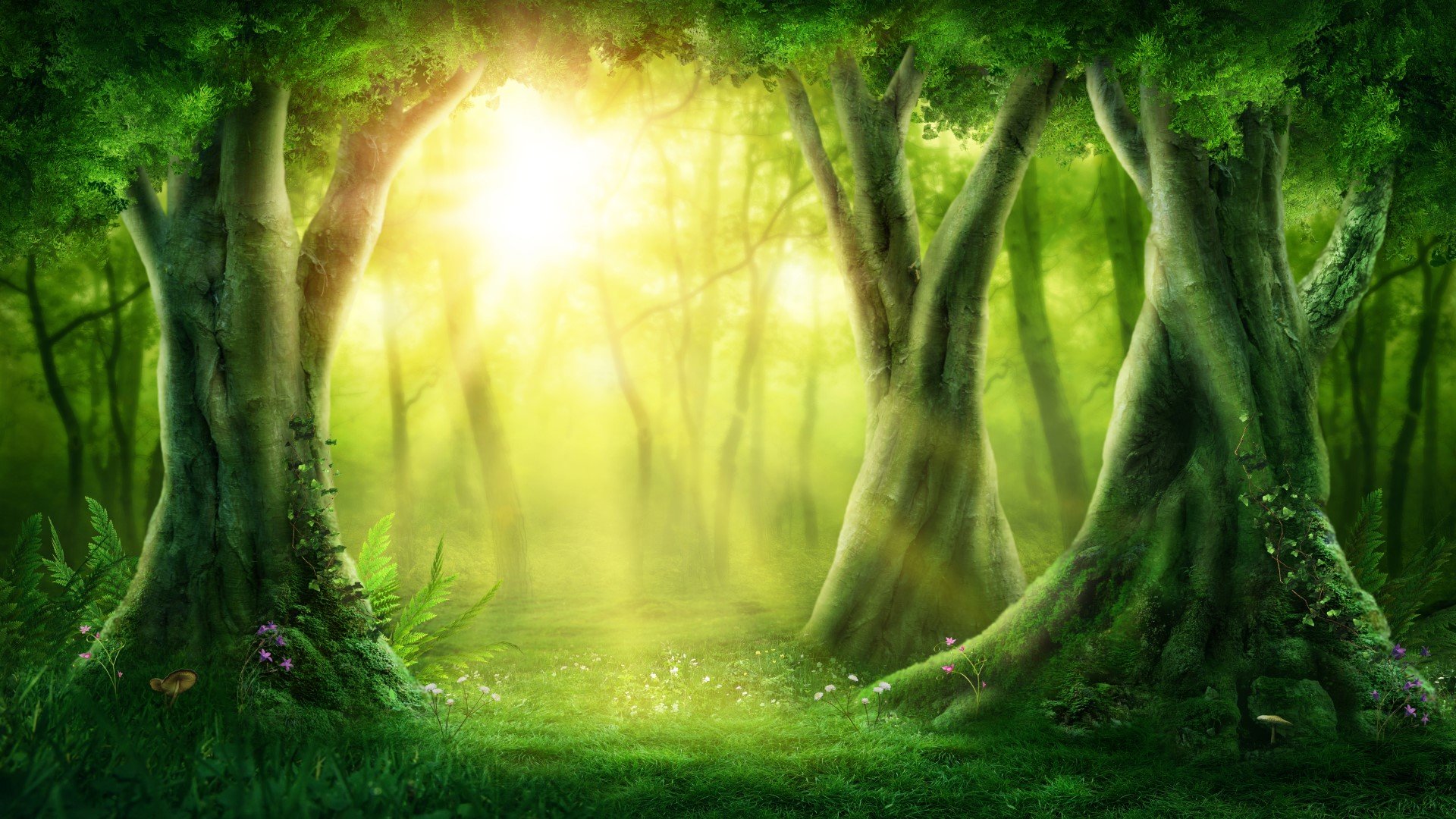 Magic Nature Reiki