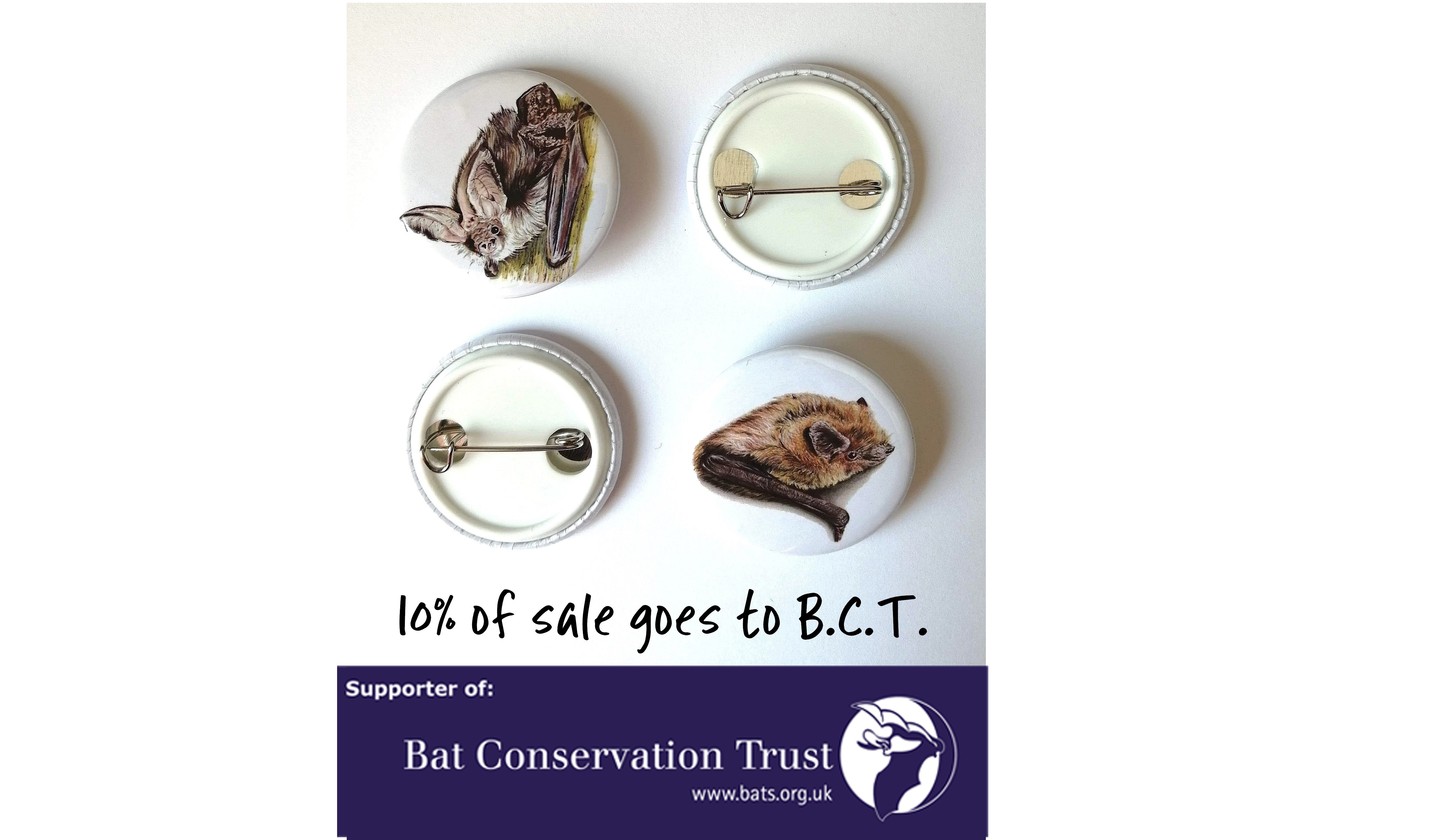 Bat Badges, Bat Button Badges, Common Pipistrelle, Brown Long Eared Bat, 32mm Badges, Bat Lover Gift