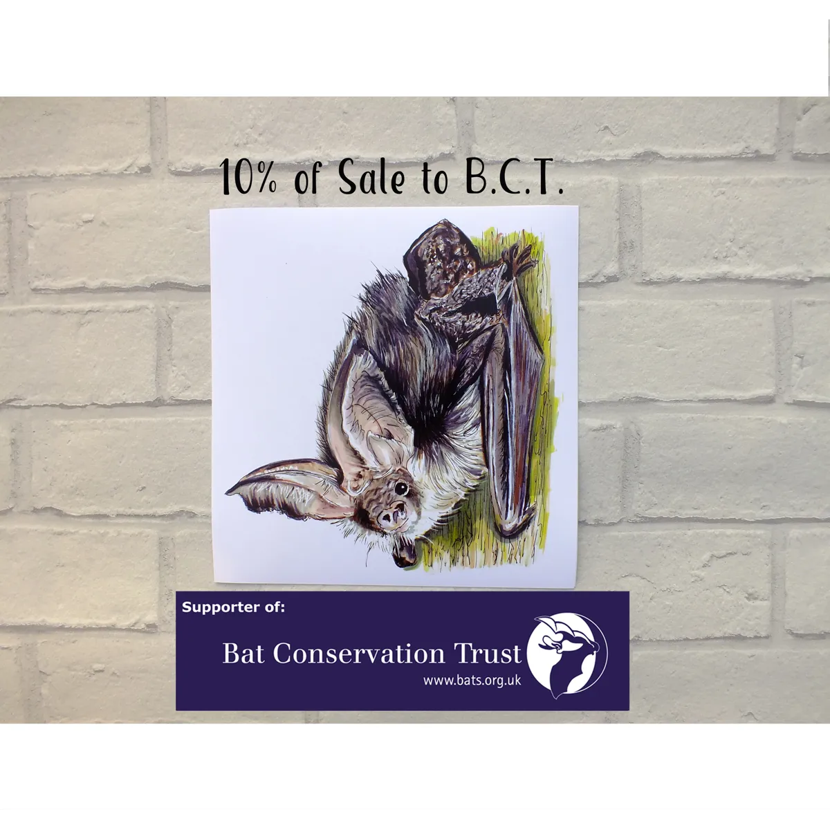 Brown Long Eared Bat Print, Bat Art Print, Bat Wall Art, Bat Gift, Gift for Bat Lover, Bat Illustrat
