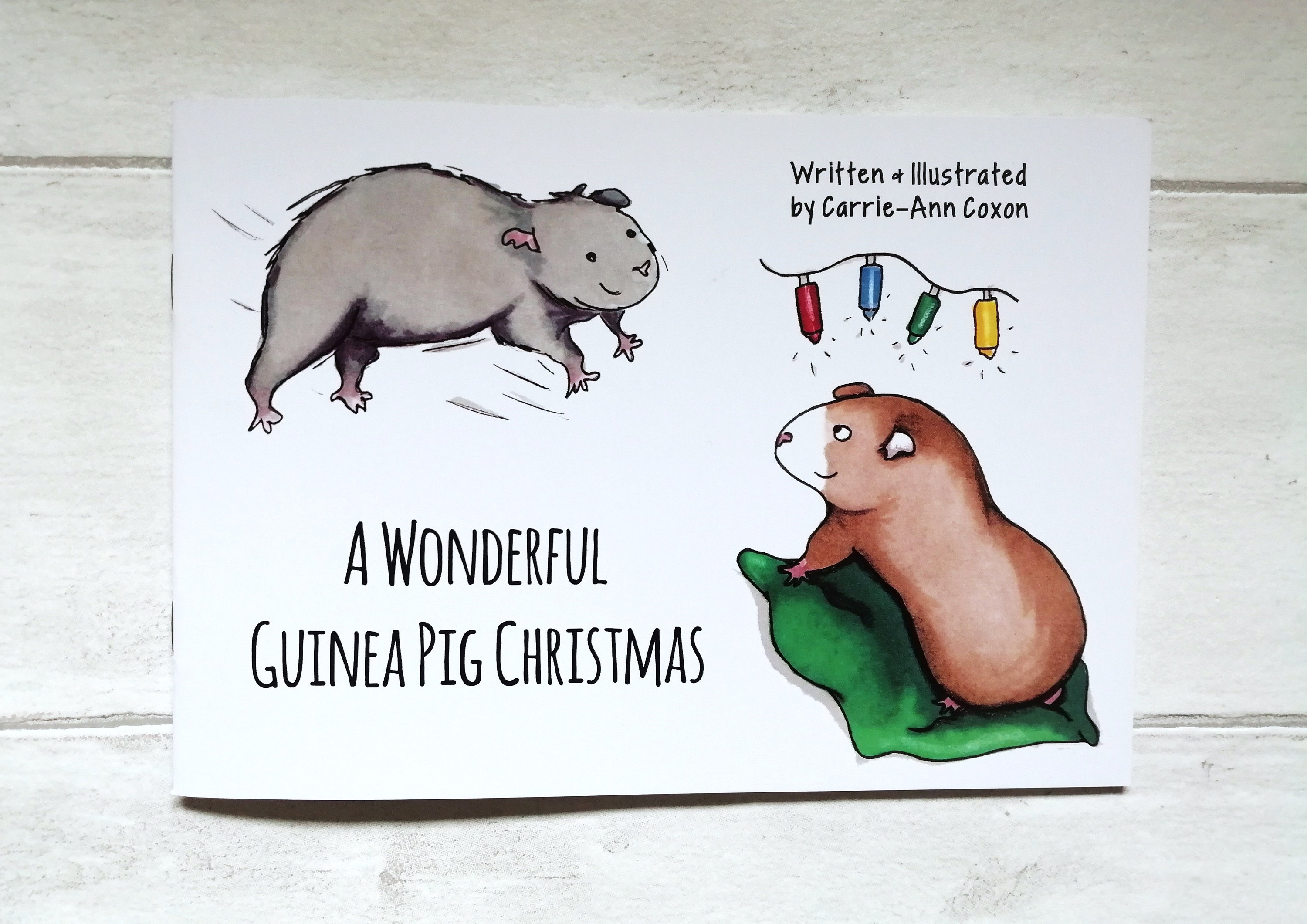 Guinea Pig Book, Guinea Pig Christmas Gift, Stocking Filler, Christmas Eve Box Filler, Kids Book, Ch