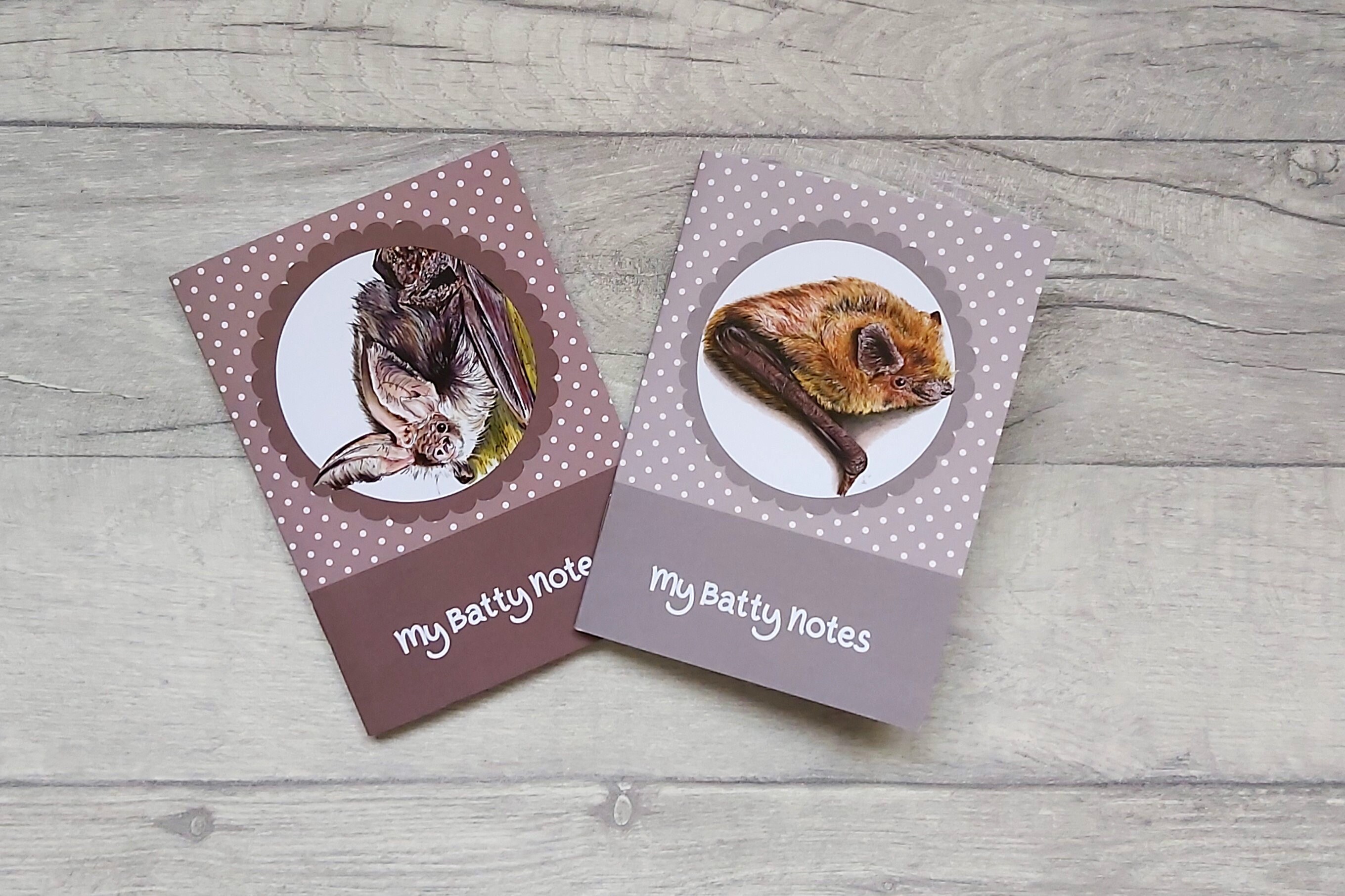 Bat Notebook Set of 2, Bat Notebook Multipack, Eco Friendly Stationery, Bat Lover Gift, Bat Gift, A6