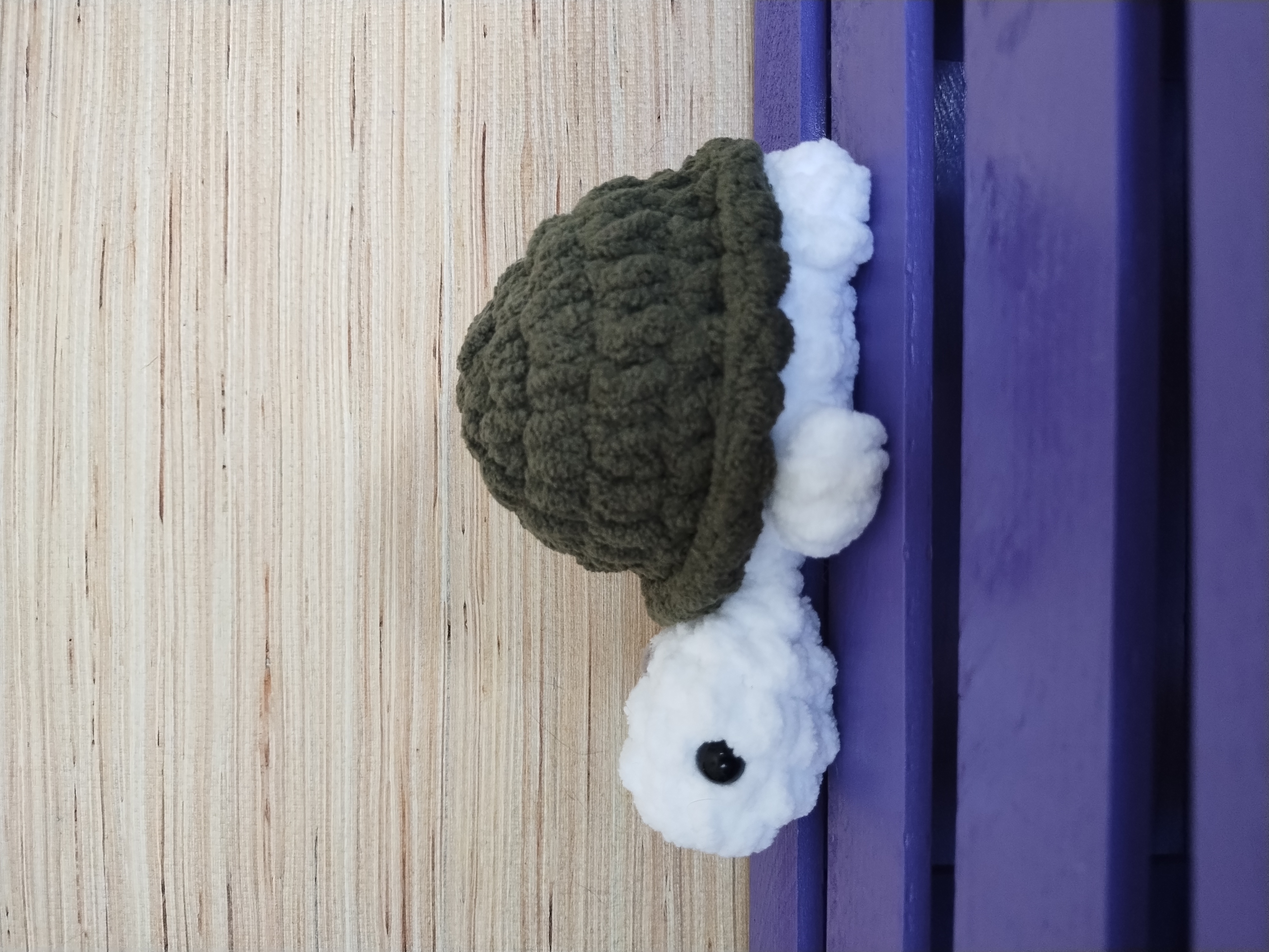 BeriNut Turtle Buddy (Green)
