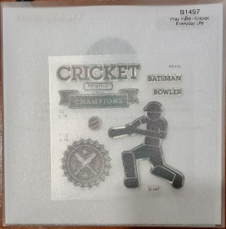 Play Hard - Cricket