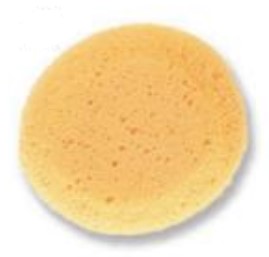 CTMH Sponge