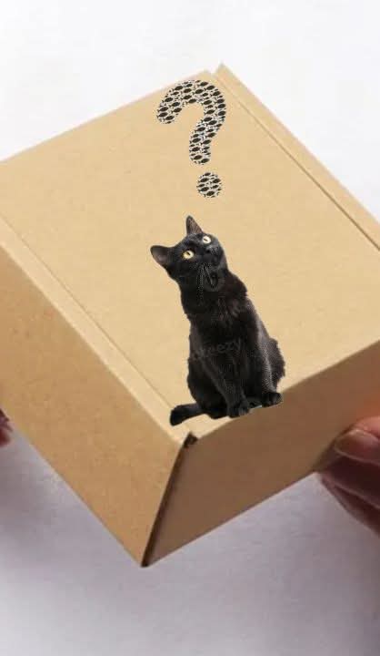 Mayhem mystery box