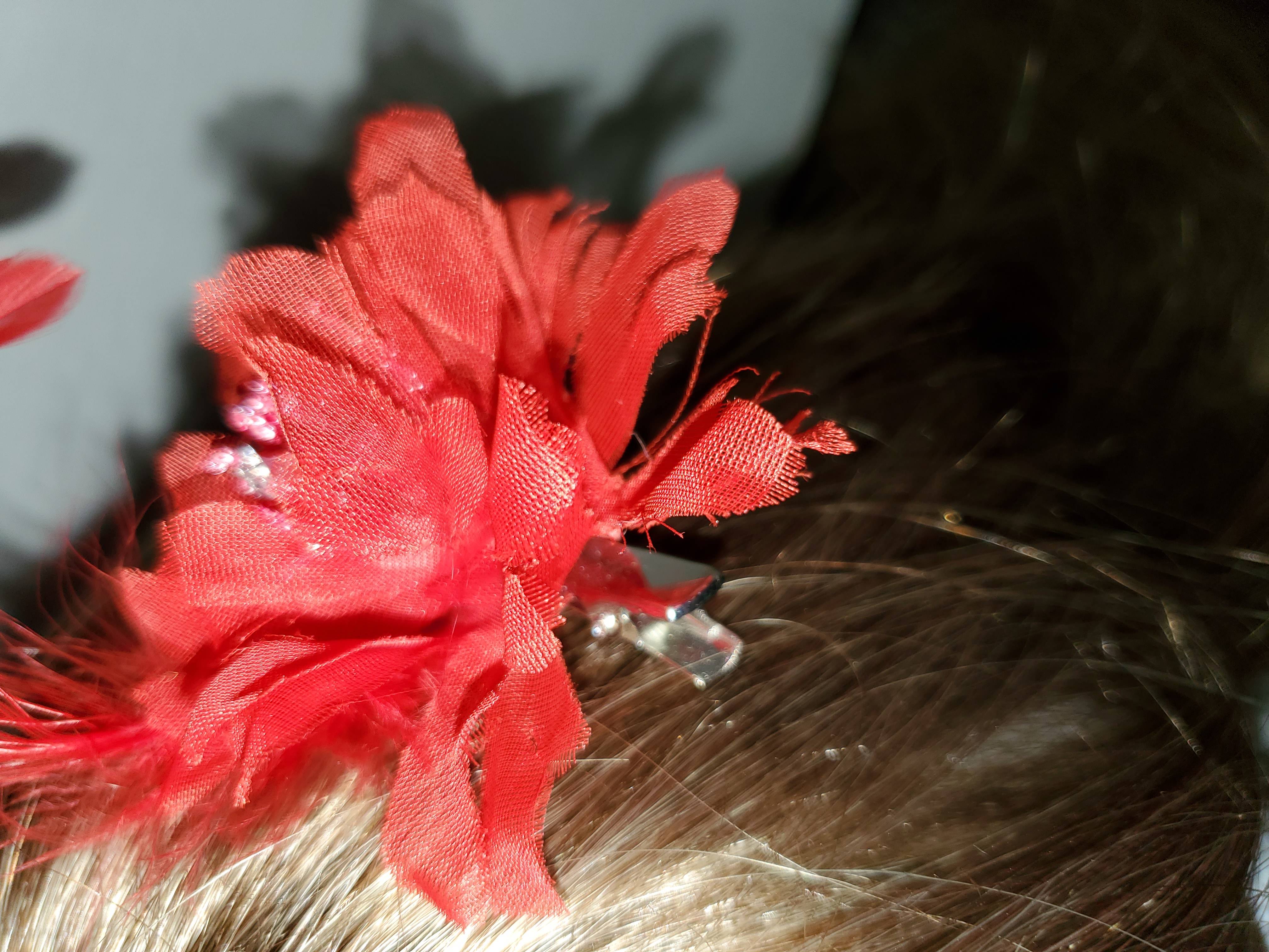 feathers and flower