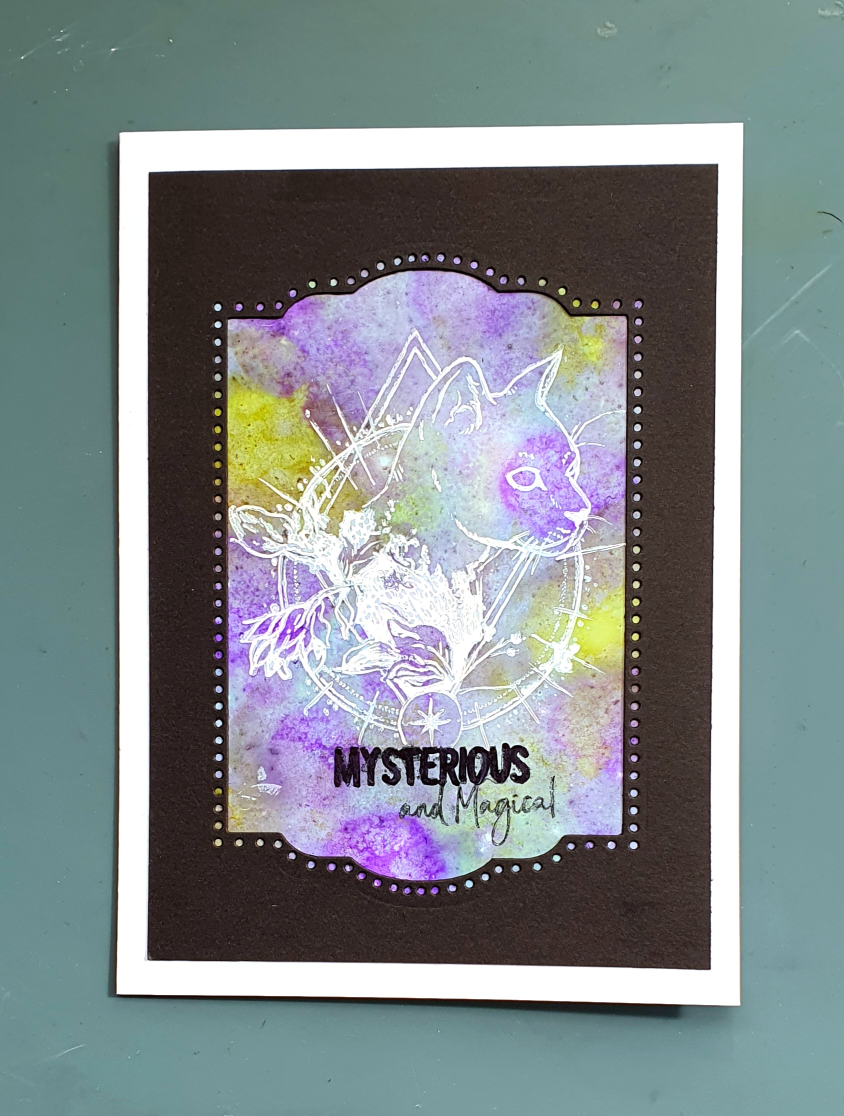 Curious Whiskers – Handmade Cat Greeting Card by AngieD | Unique Feline Art Card