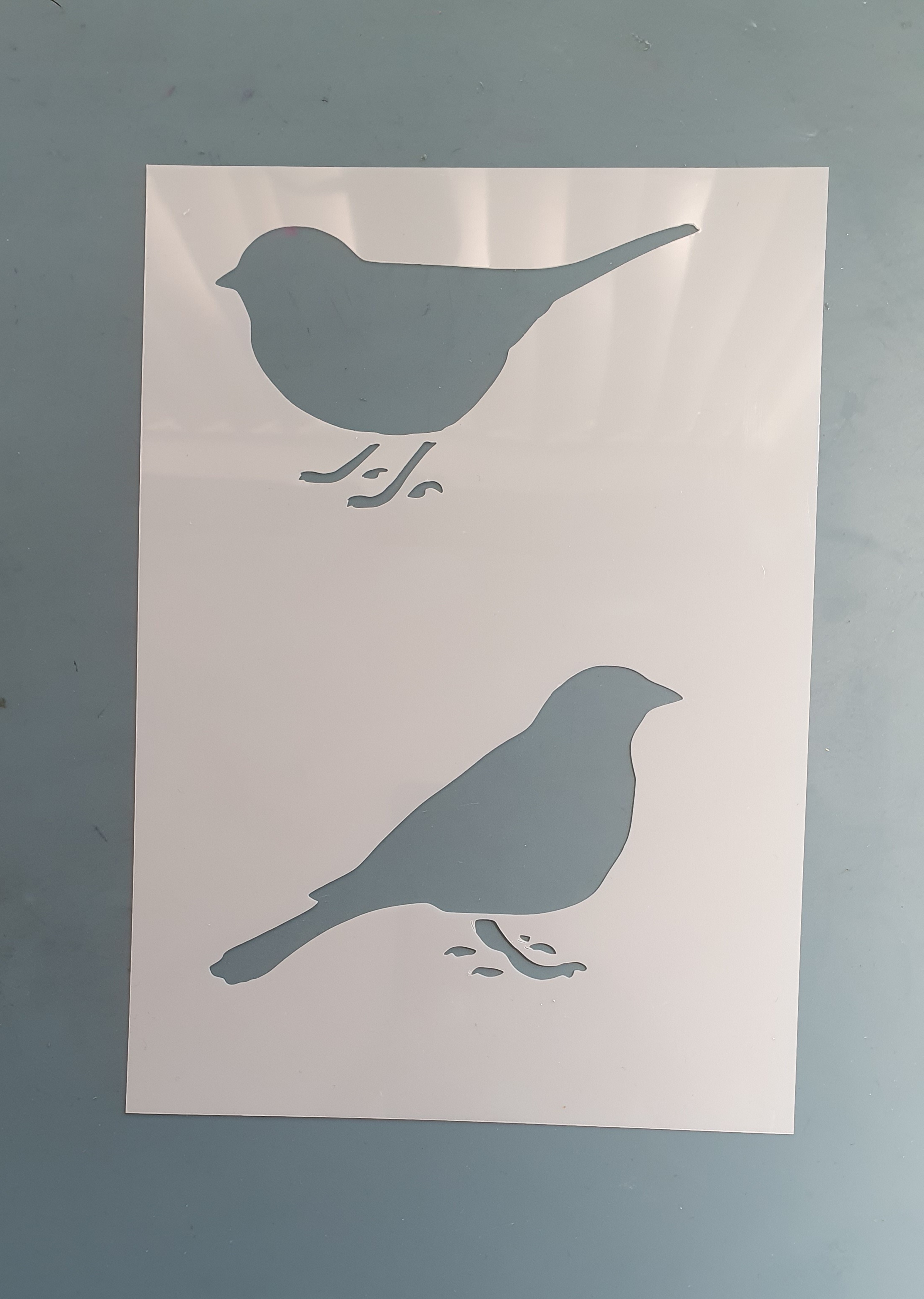 Feathered Friends Stencil